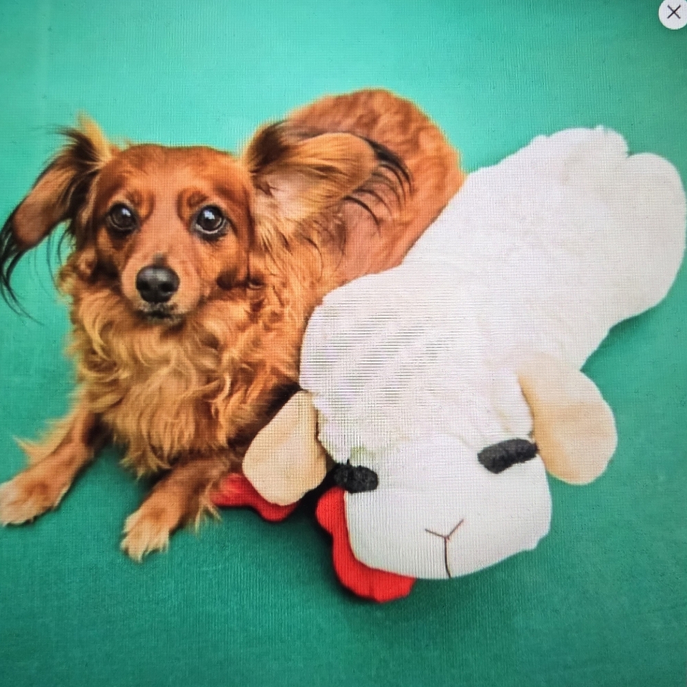 Dreamworks-Lamb Chop Dog Interactive Plush Toy 24" - Picture 5 of 8